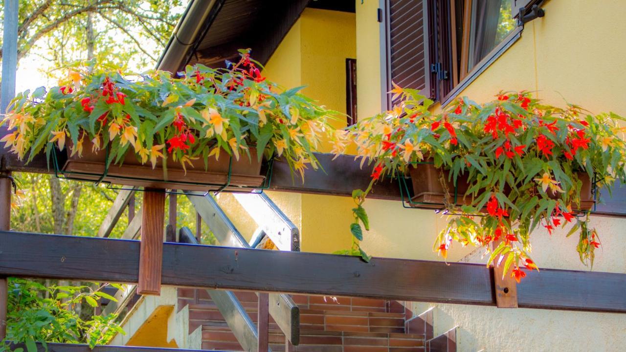 Apartmani Marica Рисика Экстерьер фото